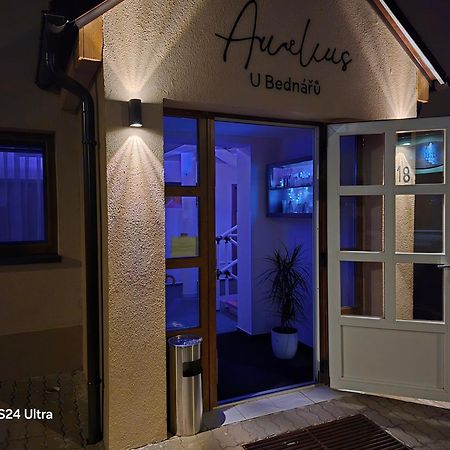 Penzionu Aurelius U Bednaru Pavlov Eksteriør billede